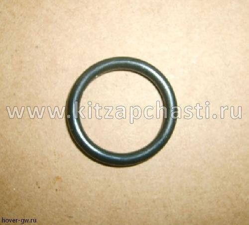 Кольцо уплотнительное резиновое JAC T6 19-00-141-115