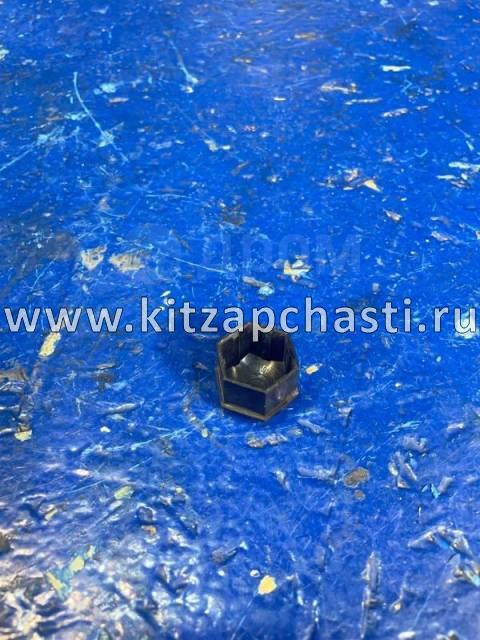 Колпачок декоративный болта крепления колеса TANK 500 3101019XKW09A